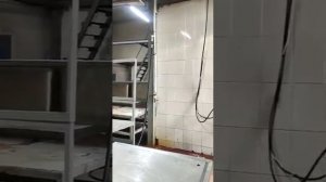 Линия убоя свиней 120 голов в час