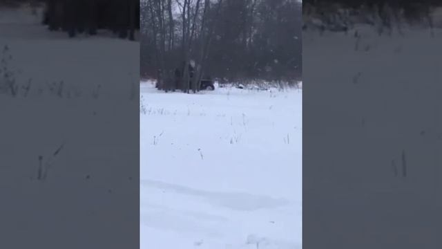 Вездеход (снегоболотоход) Амфибия