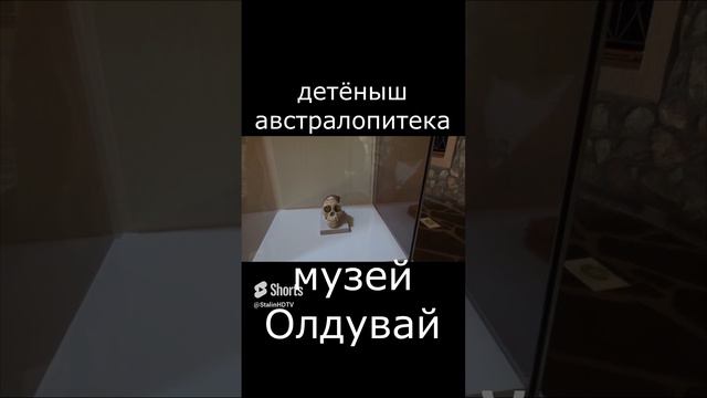 музей Олдувай - трагическая история детёныша австралопитека