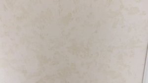 DECORAZZA BARILIEVO CERA DECOR +VELLUTO VT 10-02 ДЕКОРАТИВНАЯ ШТУКАТУРКА СМОЛЕНСК