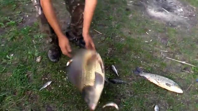 ЖЕНСКАЯ РЫБАЛКА! МОЙ ПЕРВЫЙ АМУР! Для девушек очень даже сильная рыбка! смотреть онлайн