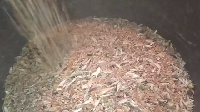 чтобы куры неслись круглый год им нужно это! делаю так каждый год! мой влог о деревенской жизни смотреть онлайн