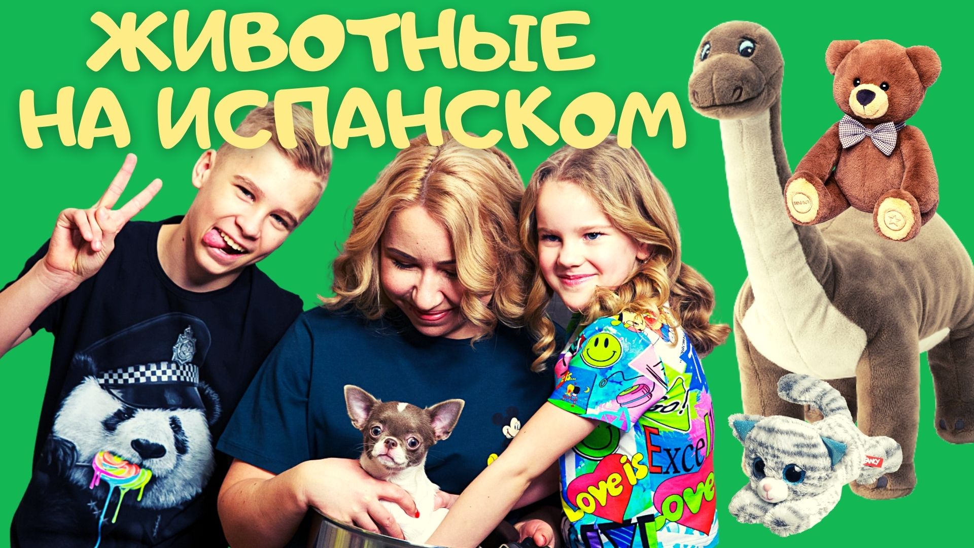 ЖИВОТНЫЕ НА ИСПАНСКОМ. Испанский язык с нуля