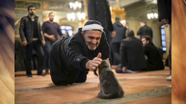 Почему мусульмане не заводят собак? смотреть онлайн