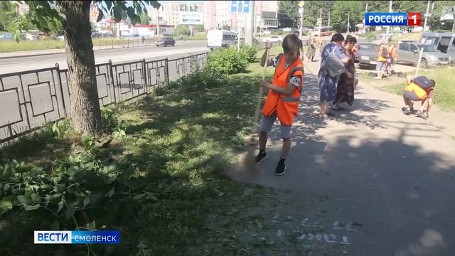 Смоленские школьники подрабатывают в трудовых бригадах на каникулах