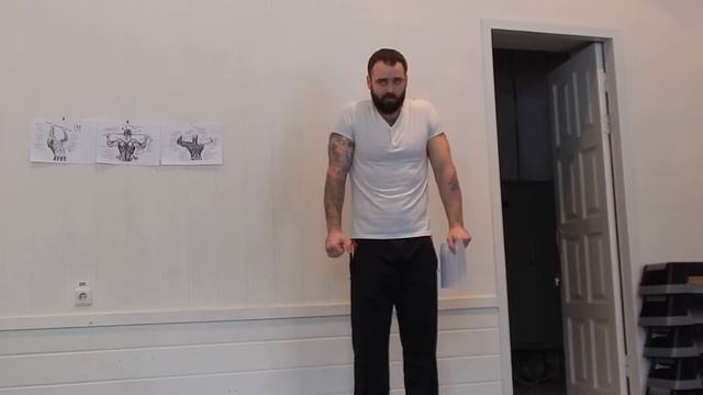 Мышцы спины. Теория. часть 1