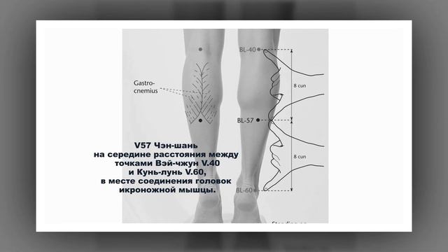 12 акупунктурных точек для лечения седалищного нерва. Прибором Эледиа