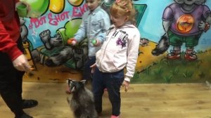 Контактный питомник "Вот Енот" Екатеринбург. Настя и енот в клетке, который укусил девочку