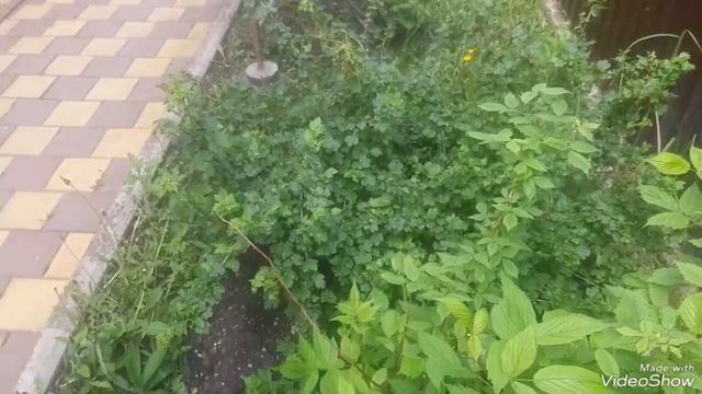 ОПОРА ДЛЯ ВИНОГРАДА