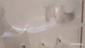 Аквариум новичка . Новые жильцы королевский панак ,скалярики,птерик сом ,метинес шимбука и.т.д.