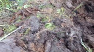 КОПАЕМ СТАРЫЙ ЖД ПЕРЕЕЗД
