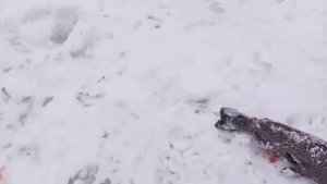 Светлые Горы Первая в жизни Форель 04.03.2023г.