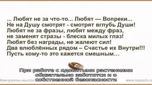 Узнайте, какие запахи не любят мыши