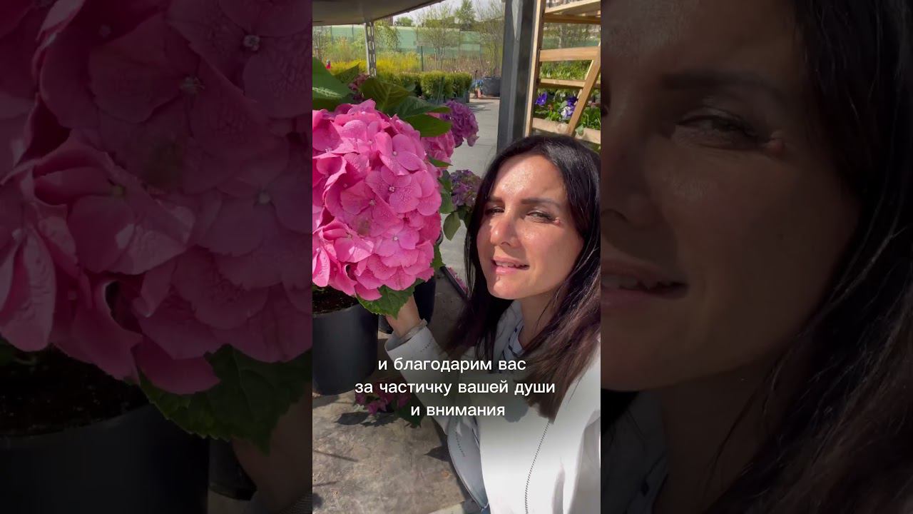 С Наступающим Новым Годом!.  #идеидлядачи #идеидлядома #многолетники #садовыйцентр