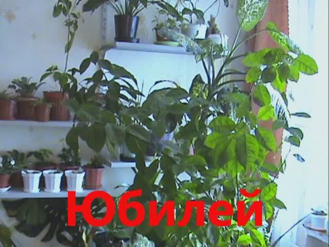 Юбилей Дина