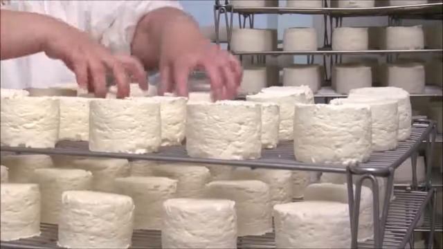 CHAOURCE смотреть онлайн