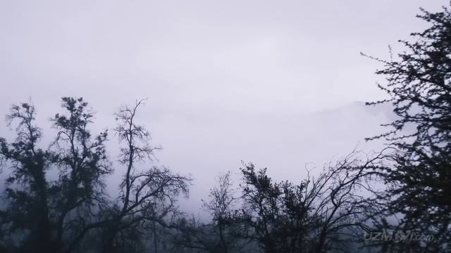 YANGI //SUPER BOEVIK KINO//TARJIMA KINOLAR 2023 UZBEK TILIDA смотреть онлайн