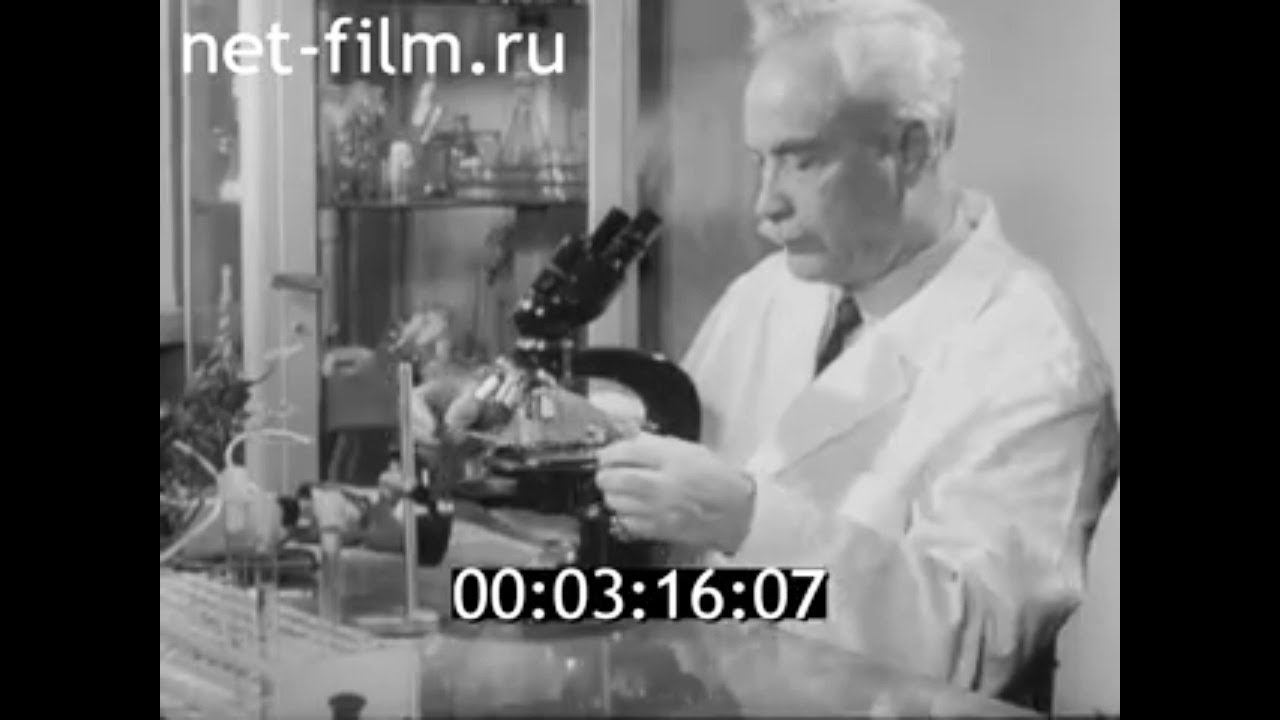 1969г. Москва. институт океанологии. лаборатория микробиологии. Калиненко Василий Иосифович.
