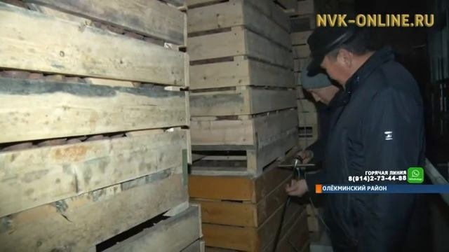С появлением овощехранилища олекминский картофель станет доступен для всех жителей Якутии