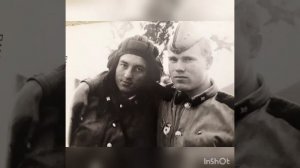 ГСВГ. Журавли караваном все на юг улетают.