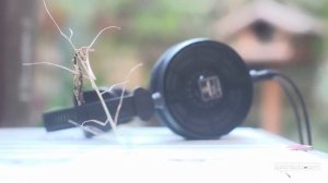 Audio Technica ATH-R70x Studio Reference Headphones REVIEW