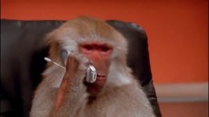 Когда начальник отчитывает тебя по телефону! угарное видео,жми КЛАСС