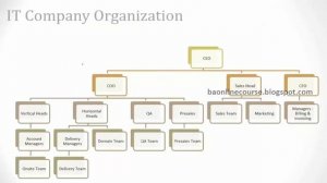 Business Analyst Tutorials for Bebinners | Client Organization | Project Structure | IT Company Org