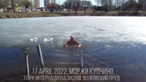 17 april 2022 иля болд парк интернационалистов волковский пруд прорубь Моржи