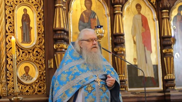 Проповедь в праздник Казанской иконы Божией Матери смотреть онлайн