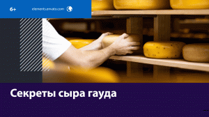 Выбираем правильный сыр гауда — Москва FM