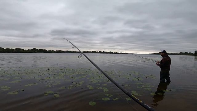 Злые осенние клеваки на Днепре. Береговая рыбалка на судака и не только на Днепре Корчеватое. смотреть онлайн
