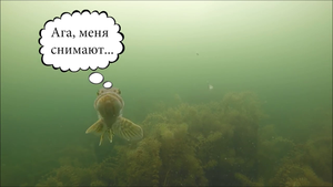 Рыбалка на жерлицы. Атаки щуки на мелководье.  Подводная камера.