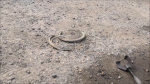 Накипело по полной!!! Или как перебрать стойку на Nissan Expert YD22DD