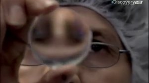 Линзы для биноклей – Из чего это сделано? (Как это сделано?) ?