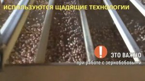 Очистка и калибровка нута / Shtef Management/Зерновая логистика/ очищающе-калибрующая машина Фадеев