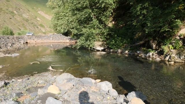 Рыбалка на горную форель в Чечне