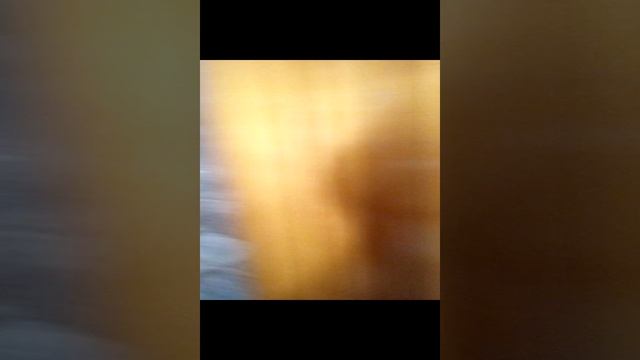 0-02-05-9783ec9b03809631f7cd3ff5713ec900fb126e060716ff548b04063ed7a37bde_d2818dcd