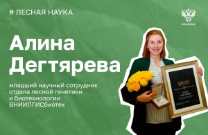 Призёр премии Христофора Леденцова Алина Дегтярева про адаптацию сосны к засухам