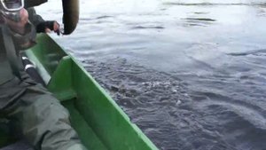 Рыбалка на бикине