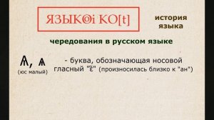 Чередование корне чин-ча, мин-мя, ним-ня, жим-жа и др.