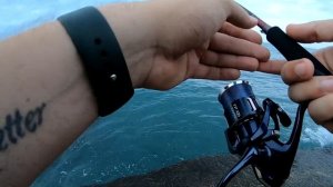 Обзор Shimano 21 Sephia S86ML-S