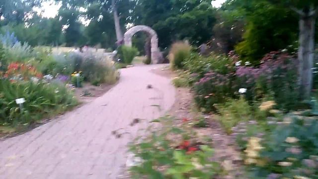 Gibson Park flower garden & Humming Bird смотреть онлайн