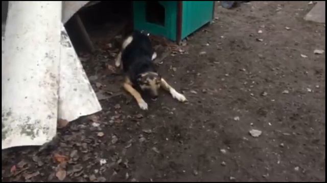 Видео привет от Сенди смотреть онлайн