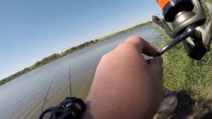 Рыбалка на амура