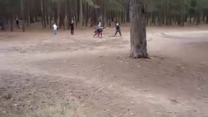 Толкиенисты)
