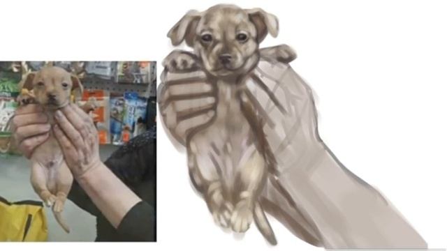 прочитайте описание) смотреть онлайн