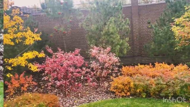 Все любят смотреть на до - после! В каждое время года сад выглядит по-разному. Смотрим! смотреть онлайн