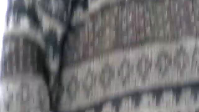 Любовь животного мира! смотреть онлайн