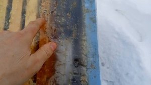 Бакфаст НЕ зимует на улице? Смотрим состояние пчëл бакфаст при зимовке на улице.