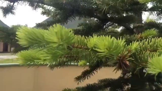 Мечеть Биста Нуры Габделгаллем смотреть онлайн